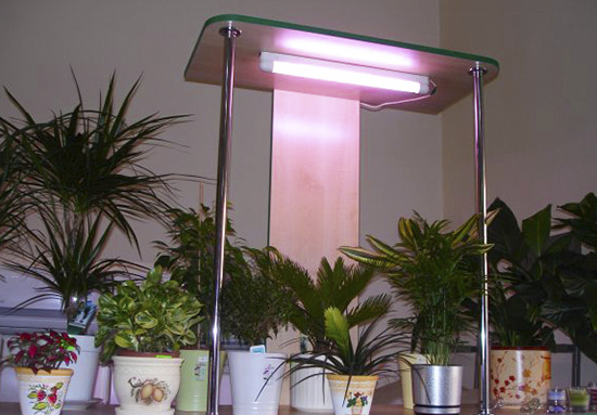  лампы для растений